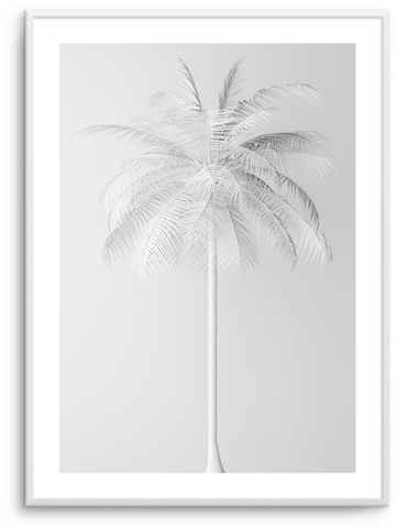 White Palm On Grey White Palm On Grey - Illustration (476x600), Png Download