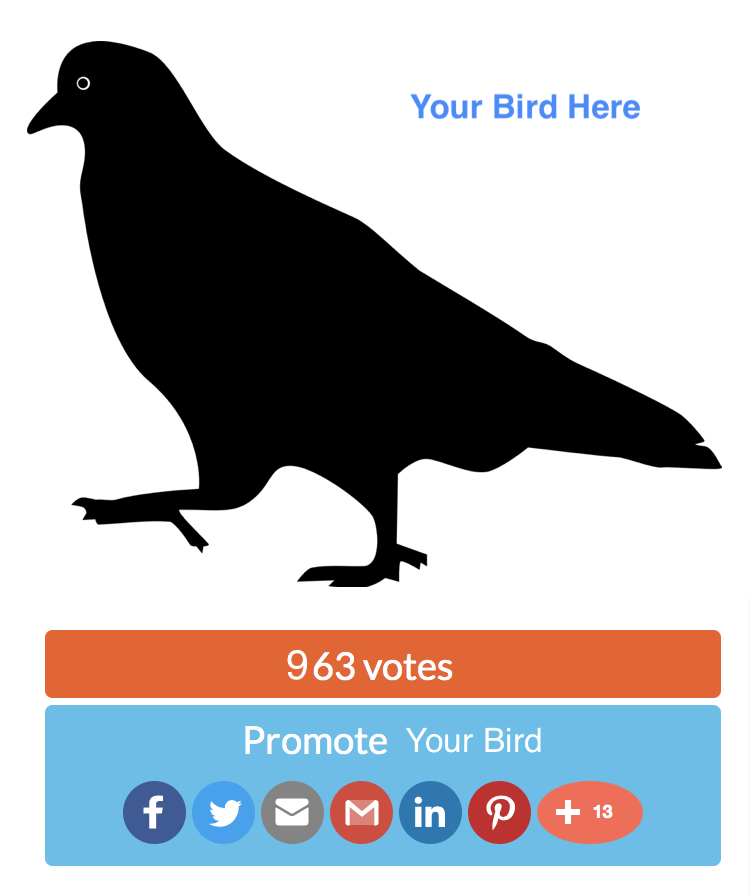 Generic 'your Bird Here' Graphic Stand In For Photo - Pink Pigeon Silhouette Shower Curtain (750x894), Png Download