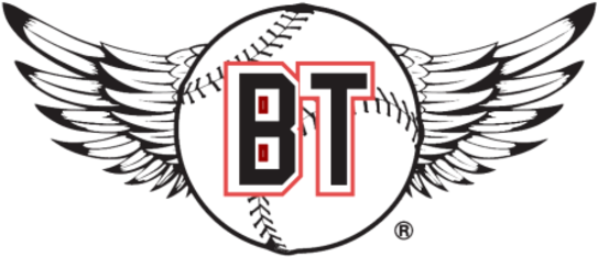 Bayler's Birthday Bash 5k Run/walk - Walking (557x300), Png Download