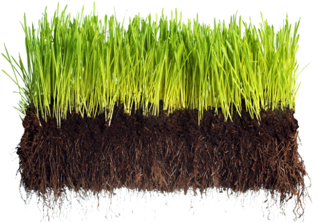 Wellness Bible: A No-bullshit Guide (755x320), Png Download