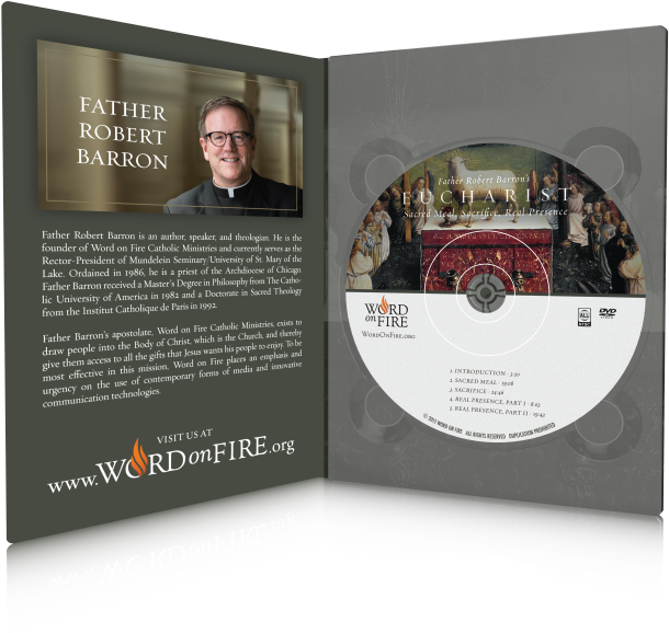 Pt01 Preview - Dvd (800x660), Png Download