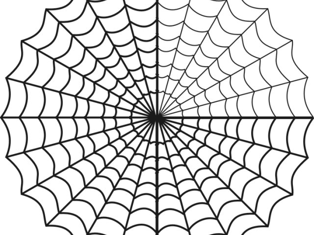 Drawn Spider Web Circle - Spider Web Charlottes Web (640x480), Png Download