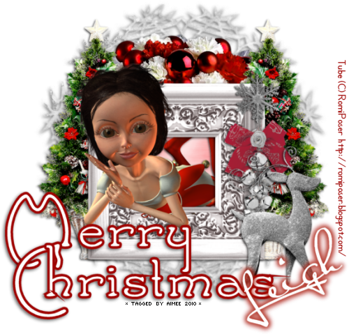 Merry Christmas - Ptu - Red And White Carnations (500x479), Png Download