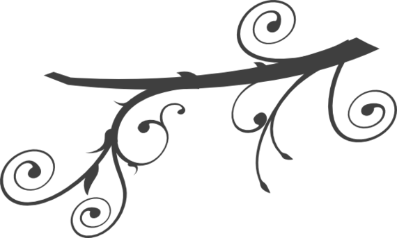 Tree Branch Clip Art (570x343), Png Download