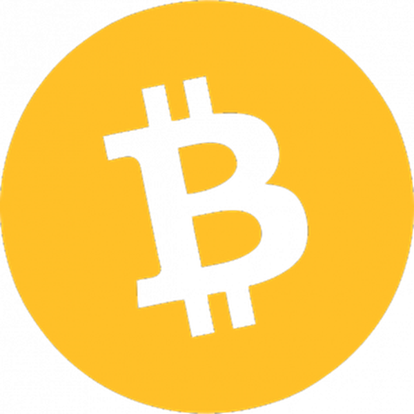 Bitcoin, Coin, Currency, Digital Currency, Digital - Ultimate Guide To Bitcoin (600x600), Png Download