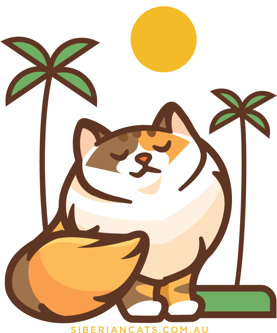 Siberian Cats Middle Web Icon - Cat (926x1154), Png Download