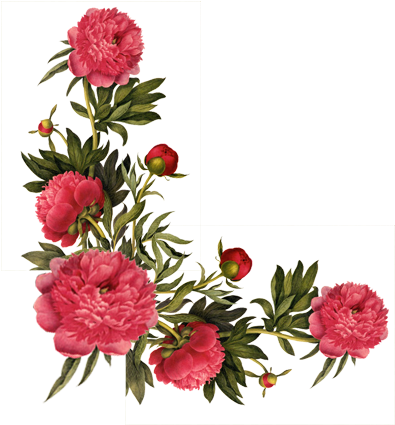 Coins - Earrings "small Summer Flowers" Cabochons Red (423x459), Png Download