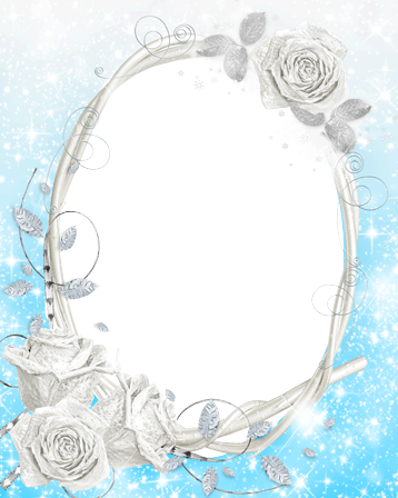 Frozen Frame Png - Marco Para Foto Frozen Png (358x448), Png Download