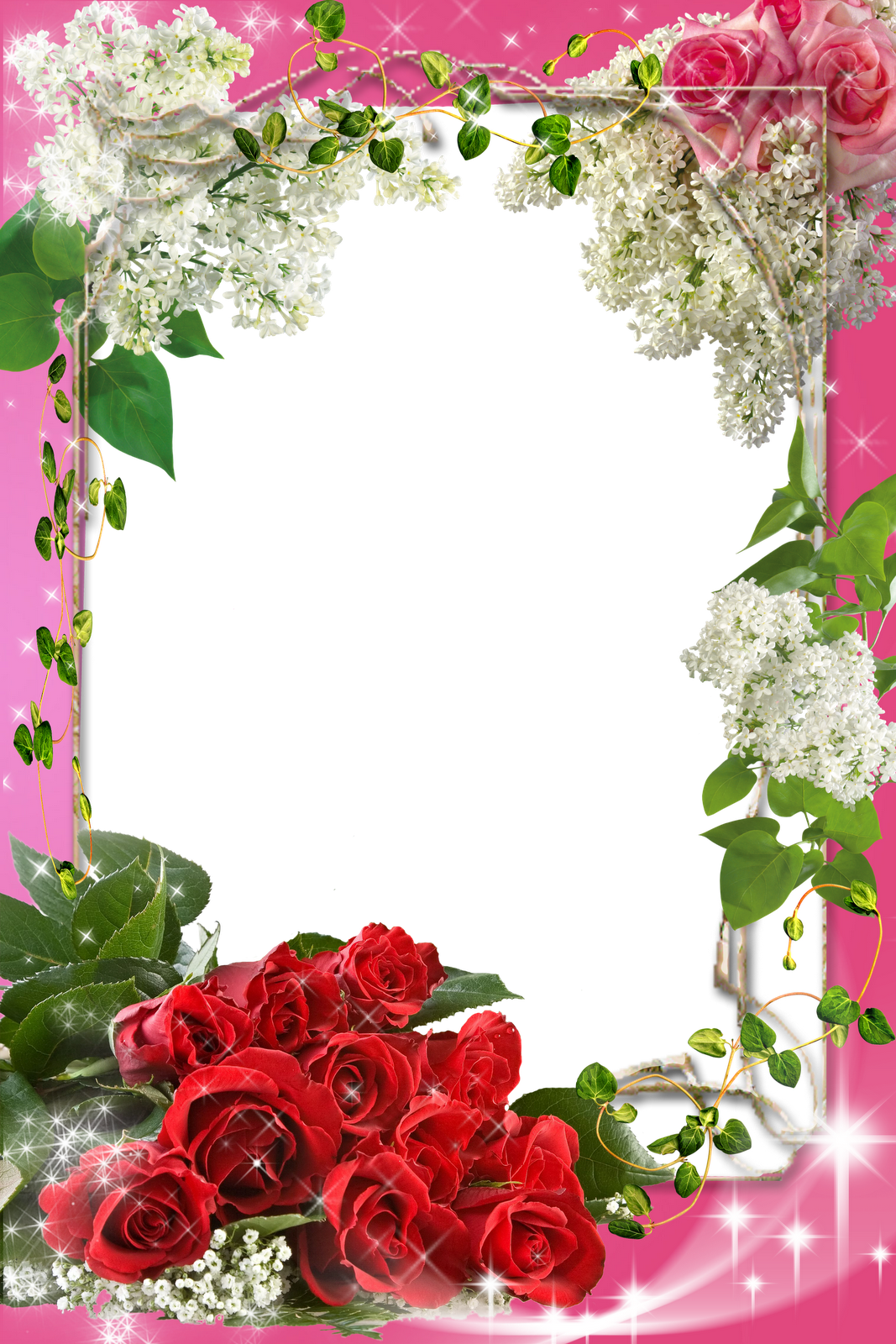 Page Borders, Borders And Frames, Borders For Paper, - Flower Frame Photoshop (1067x1600), Png Download