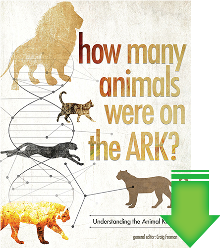 Animals Were On The Ark (500x500), Png Download