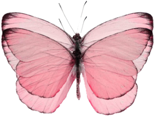 Transparent Butterflies Tumblr - Holly Blue (500x352), Png Download