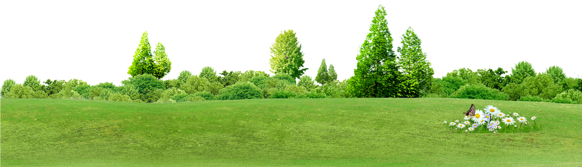 Chroma Key Tree Computer File - Fondo De Arboles Png (1980x1203), Png Download