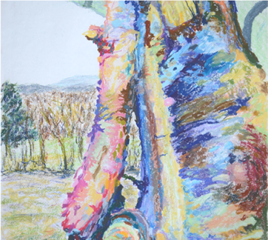 Oak And Field - Painting (1014x487), Png Download