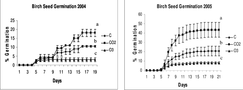 Germination Of Birch Seed From Trees Exposed To Background - Diagram (850x317), Png Download