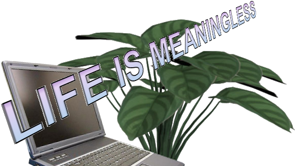 Image, Video And Soundtrack Of A Plant O Production - Calathea Zebrina (588x331), Png Download