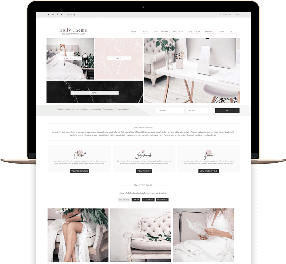 Holly Portfolio And Ecommerce Genesis Child Theme - E-commerce (1024x916), Png Download