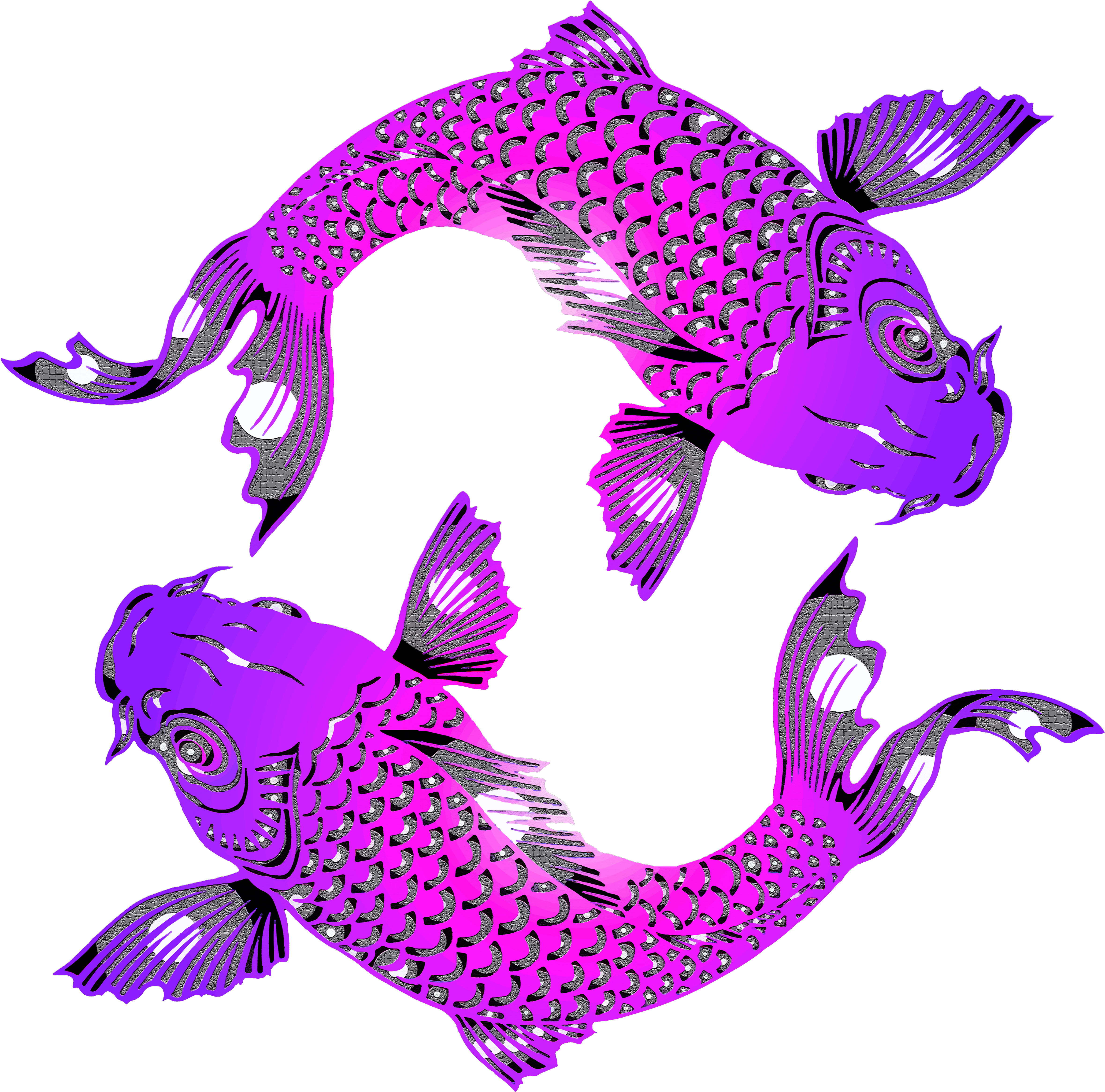 Koi Carp Fish Water Japanese Pond 1244816 - Gift Koi Fish (6000x6000), Png Download