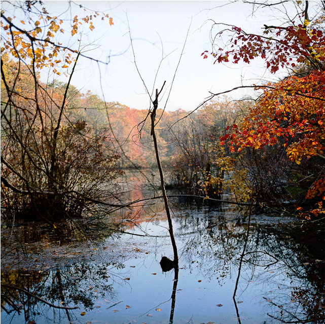Barney's Pond (1000x638), Png Download