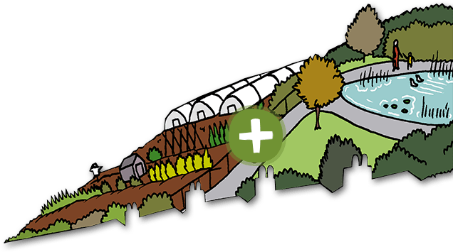 Pond - Low-carbon Economy (636x355), Png Download