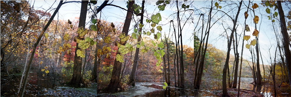 Barney's Pond (1000x638), Png Download
