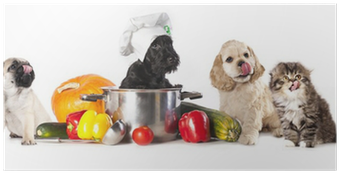Poster: Lilun's Dog In Chef's Hat, 61x41cm. (400x400), Png Download
