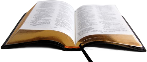 Bible (500x250), Png Download
