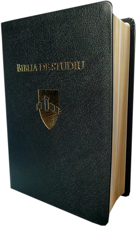 Biblia De Studiu Andrews - Biblie De Studiu Inductiv (600x900), Png Download
