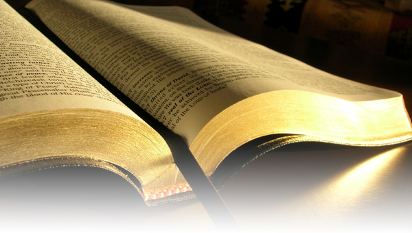 A Bíblia, Palavra De Deus É O Meio Pelo Qual Nós Podemos - Survey Of The Bible: An Overview Of The Sixty-six Canonical (600x340), Png Download