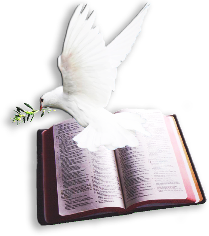 Archivo Del Blog < - Bible And Dove Png (1024x820), Png Download