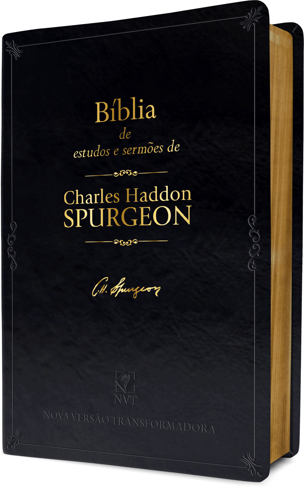 Zoom - Book Cover (1000x1603), Png Download