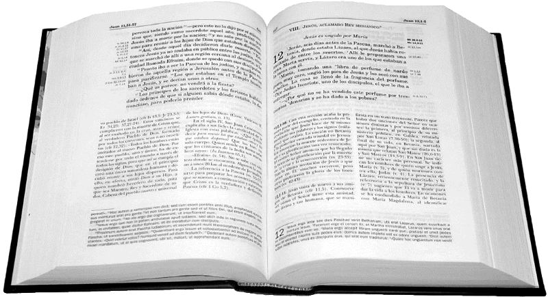 La Biblia Dice - Paper (800x435), Png Download