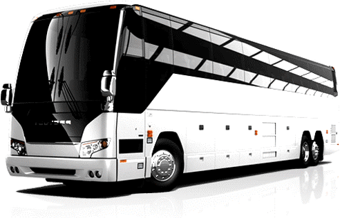 Coach - Star Coach Services (532x442), Png Download