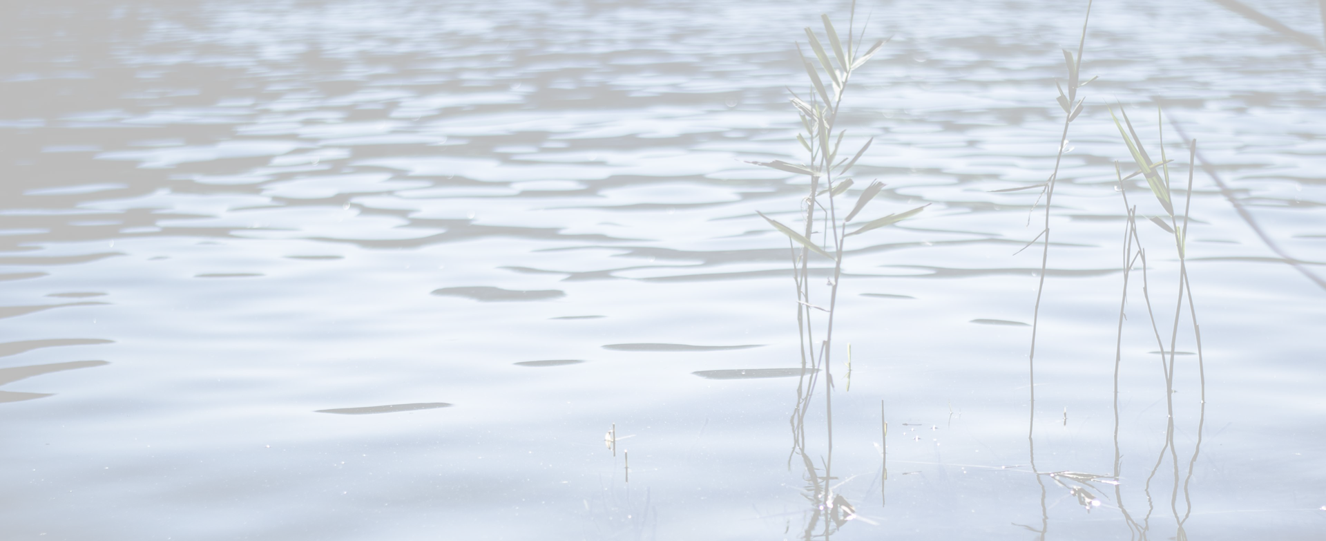 Water-background - - Water (1920x783), Png Download