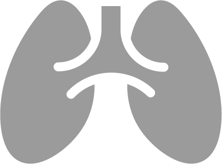 Clip Art Black And White Download Lung Vector Icon - Pulmonary Arterial Hypertension Icon Png (437x323), Png Download