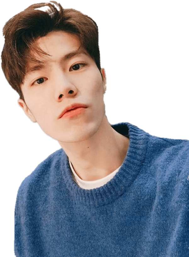 Download - Rose Jaehyung (720x960), Png Download