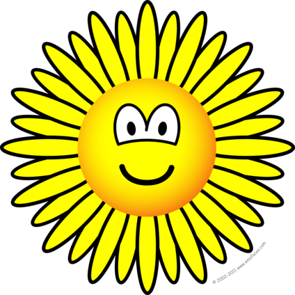 Sunflower Emoticon - Zonnebloem Smiley (424x424), Png Download
