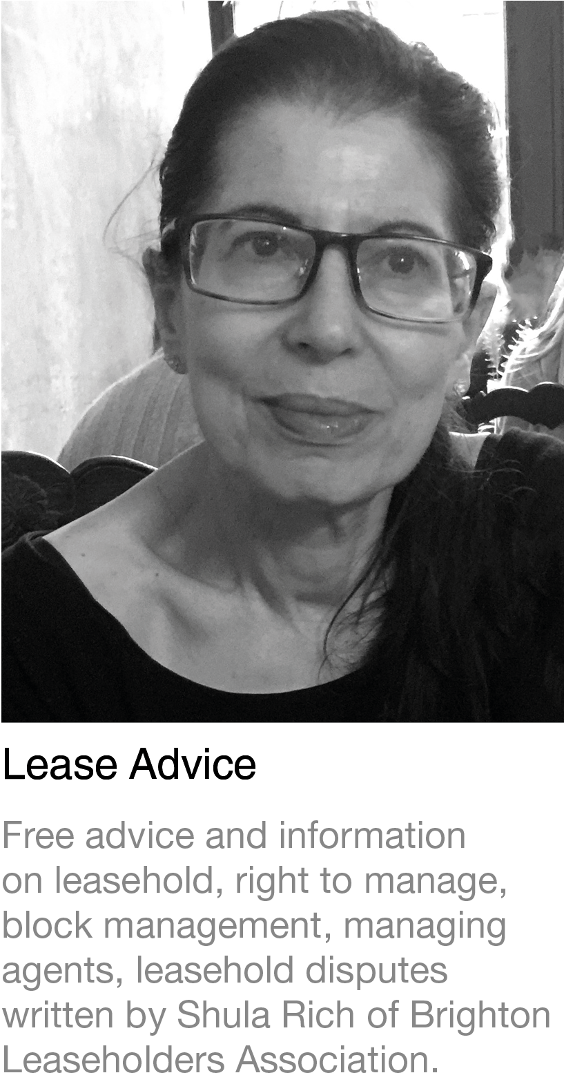 Cropped Lease Advice Website Logo V1b 1 - Monochrome (827x1654), Png Download