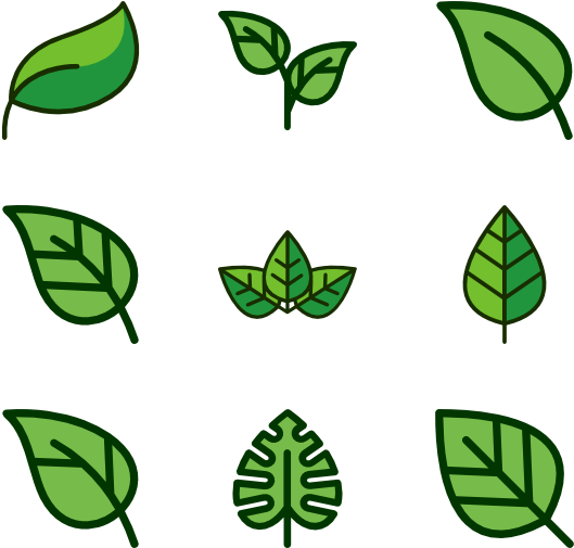 Leaf (600x564), Png Download