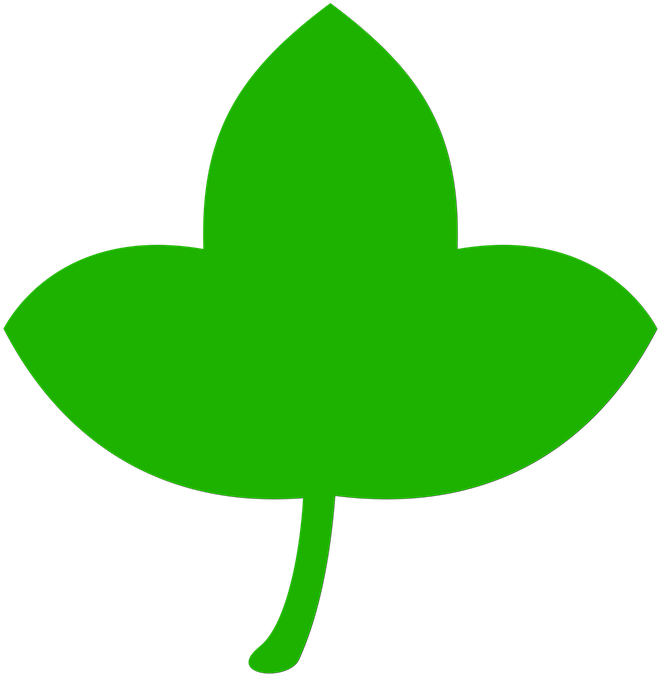 Icon, Leaf, Green, Tree, Nature, Leaves, Plant - Leaf (720x720), Png Download