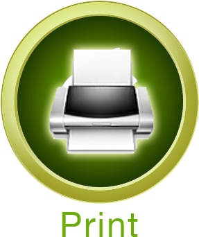 Button Print Green - Print Button Icon Png (320x396), Png Download