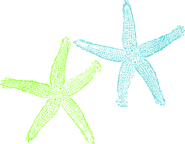 And Lime Green Starfish Png Clip (600x468), Png Download