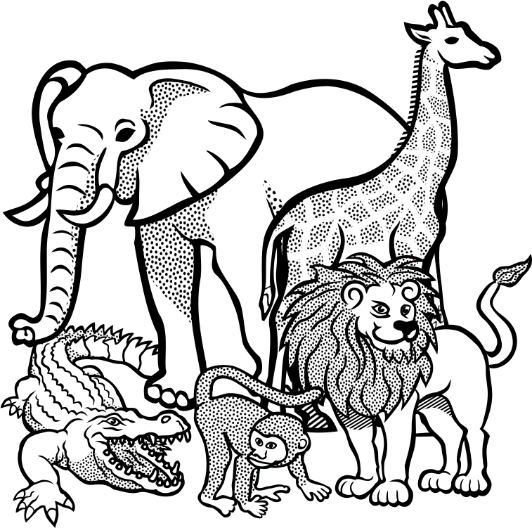Jpg Black And White Download Africa Clipart Animal - Africa Safari Animals Coloring Sheets (794x800), Png Download