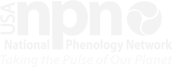 Png - Poster (576x239), Png Download