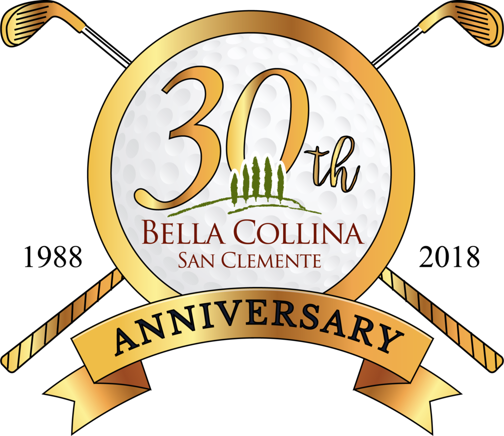 Bc 30th Anniversary Logo L Format=1000w (1000x864), Png Download