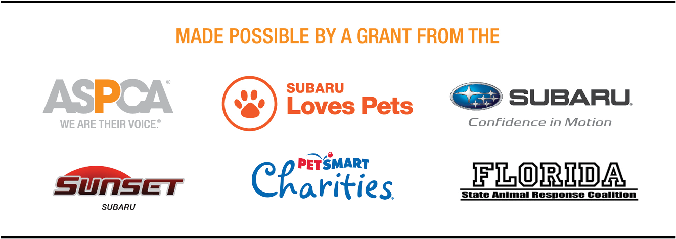 *excluding Specialty Breeds - Neoplex Subaru Confidence In Motion Garden Flag (1512x600), Png Download