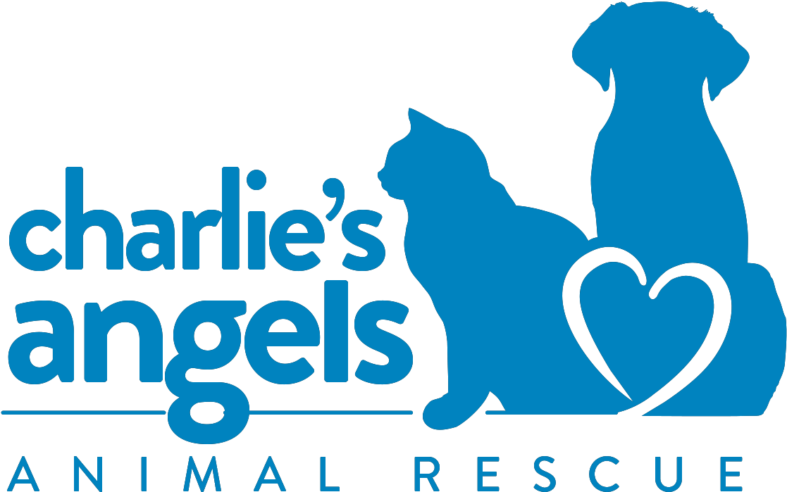 Charlie's Angels Animal Rescue (1127x714), Png Download