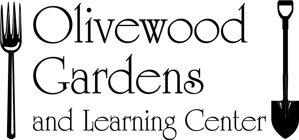 Olivewood Gardens Logo (973x463), Png Download