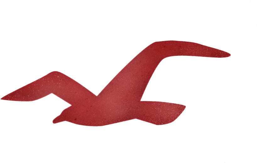 Hollister Brasil Hollister Brasil - Bird Logo T Shirt (900x600), Png Download