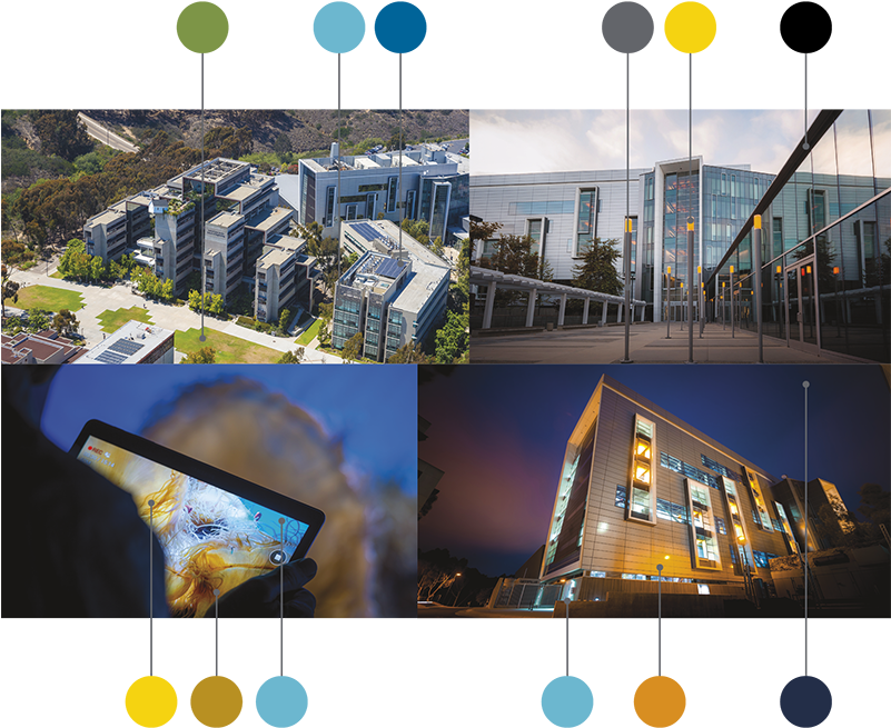 Uc San Diego's Surroundings Provide A Richness Of Color - Collage (800x676), Png Download