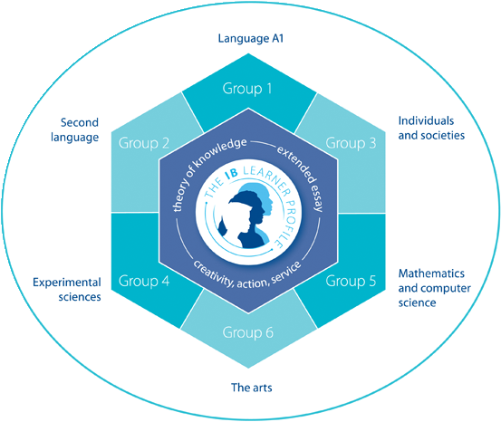 International Baccalaureate Learner Profile King Academy - Ib Groups (620x532), Png Download